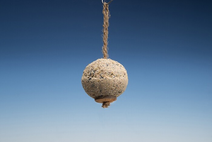 Talgboll t/fåglar 10 x 10 x 11 cm